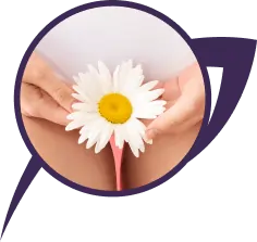 الرئيسية Dr. Marwa